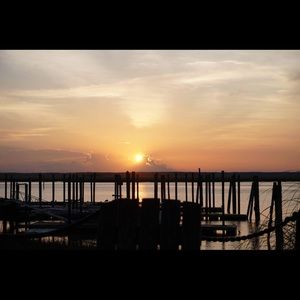 Meet your Posher, Yolotzin